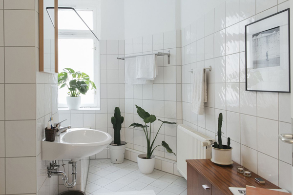 Cleaning Tips: इस तरह आपका बाथरूम बनेगा खुशबूदार, झट से दूर हो जाएगी बदबू
