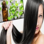 Best Hair Oil: क्या आपने कभी लगाया है मेहंदी का तेल ! फायदे जानकर जरूर करेंगी इस्तेमाल