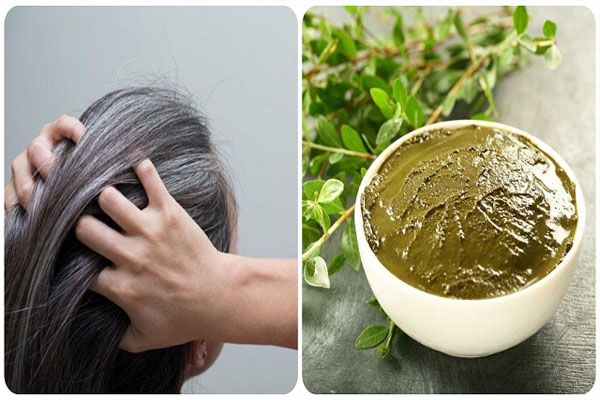 Beauty Tips: सफेद बालों से मिलेगा छुटकारा, मेहंदी में मिलाएं खास चीज